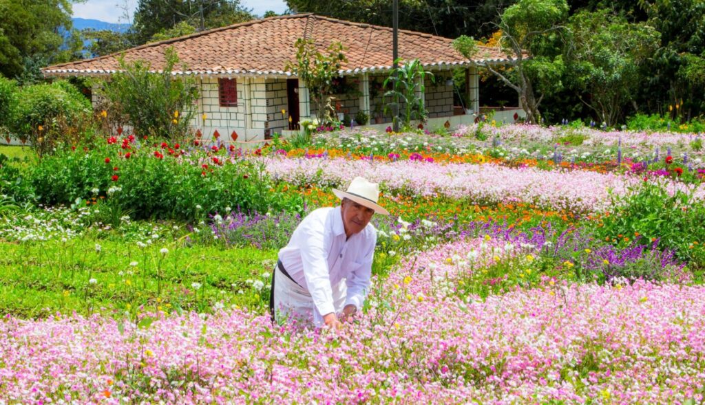 finca silletera creative tourism network