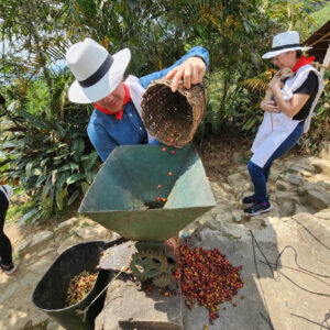 experiencia cafe medellin te invita (1)